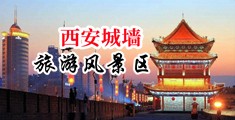 紧涨肛交亚洲无码中国陕西-西安城墙旅游风景区